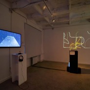 Фото: kholmy.vzmoscow.ru