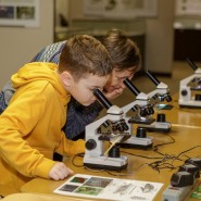 Фото: darwinmuseum.ru