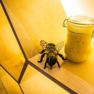 Музей «Пчеловодство» на ВДНХ фотографии