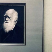 Выставка «Дарвин и мы» фотографии