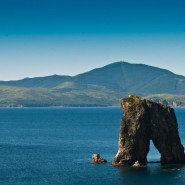 Фото: darwinmuseum.ru