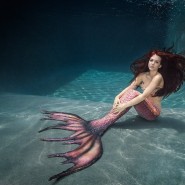 Подводное шоу «Приключение русалочек» 2021 фотографии