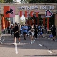 Четыре Лапы Фест 2025 фотографии