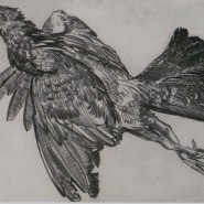 Фото: darwinmuseum.ru