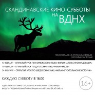 Серия кинопоказов с открытыми уроками  «Скандинавские кино-субботы» 2018 фотографии