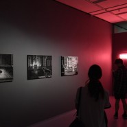 Выставка «О том, что помнишь, позабудь» фотографии