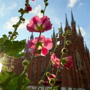 Фестиваль «ORGANичное лето» 2026 фотографии