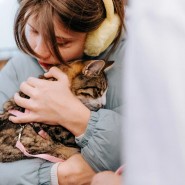 Фото: fund4dogs.ru