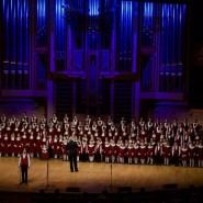 Фото: zima.mos.ru