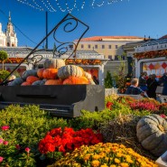 Фестиваль «Золотая осень» 2018 фотографии