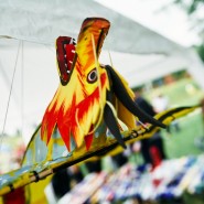 Фестиваль воздушных змеев «ЛеТатлин №4» 2021 фотографии