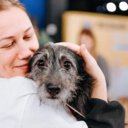 Фото: fund4dogs.ru