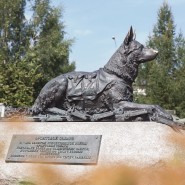 Онлайн-программа Музея Победы о подвигах фронтовых собак фотографии