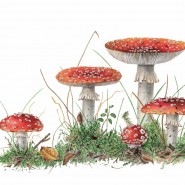 Фото: nagornaya.vzmoscow.ru