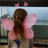 «День бабочки» в Биологическом музее 2022 фотографии