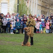 Военно-исторический фестиваль «Фронтовая собака» 2022 фотографии