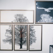 Выставка «Михаил Аввакумов. Графика» фотографии