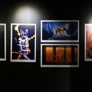 Выставка «Цифровые сны» фотографии
