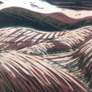 Фото: park.vzmoscow.ru