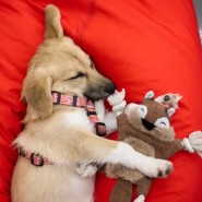 Фото: yunacenter.ru