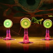 Шоу Cirque du Soleil «OVO» 2018 фотографии