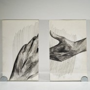 Фото: shabolovka.vzmoscow.ru