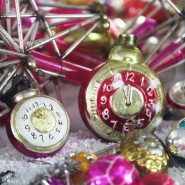 Фото: darwinmuseum.ru