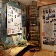 Российский музей леса фотографии