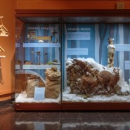 Всемирный день снега в Дарвиновском музее 2023 фотографии