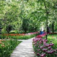 Ботанический сад МГУ «Аптекарский огород»  фотографии
