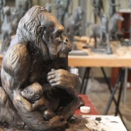 Фото: darwinmuseum.ru