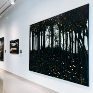 Выставка «Скрытые пространства» фотографии