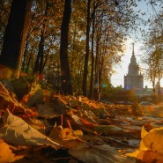 Топ-10 лучших событий на выходные 10 и 11 октября в Москве фотографии