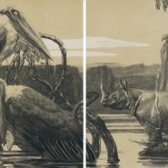 Фото: darwinmuseum.ru