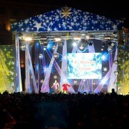Новогодняя ночь 2015 в Москве фотографии
