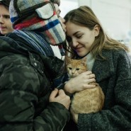 Выставка-пристройство животных из приюта «Юна-Фест» 2019 фотографии