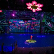 Мюзикл на воде «Сон в летнюю ночь» в «Москвариуме» фотографии