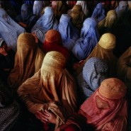 Выставка «Репортажи» фотографии