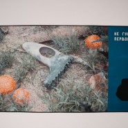 Выставка «…И васильки, и я, и тополя» фотографии