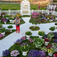 Фестиваль садов и цветов «Moscow Flower Show» 2017 фотографии