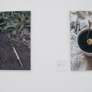Выставка «Флора. Жизнь» фотографии