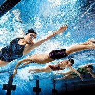 Любительские старты по плаванию «Мой «Олимпийский» рекорд» фотографии