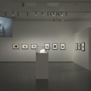 Выставка «Константин Бранкузи. Скульптуры, рисунки, фотографии, фильмы» фотографии