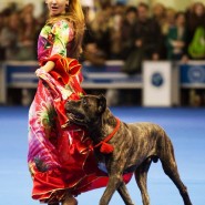 Фестиваль «Breed`s day» 2019 фотографии