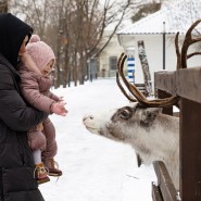 Новогодние Ёлки на Городской Ферме на ВДНХ 2020/2021 фотографии