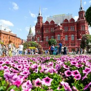 Фестиваль «Цветочный джем» 2023 фотографии