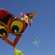 Фестиваль воздушных змеев «Пестрое небо» фотографии
