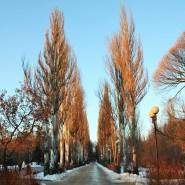 День святого Валентина в Измайловском парке 2016 фотографии