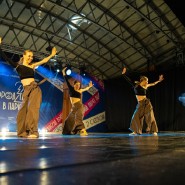 Фото: vk.com/dancingintheparks