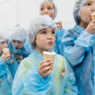 Фабрика мороженого «Чистая линия» фотографии
